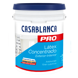 CASABLANCA PRO CONCENTRADO 20L